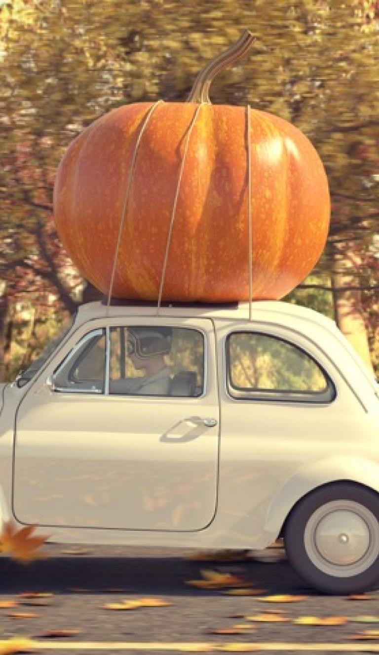 vintage car carrying pumpkin